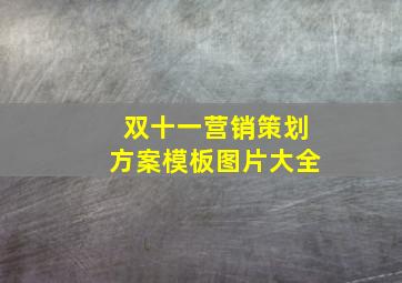 双十一营销策划方案模板图片大全