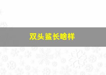 双头鲨长啥样