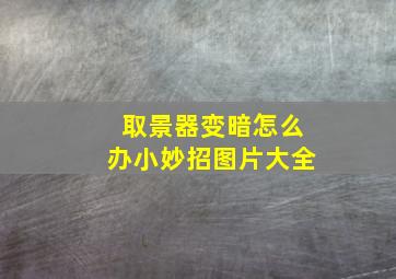 取景器变暗怎么办小妙招图片大全