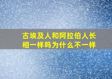 古埃及人和阿拉伯人长相一样吗为什么不一样