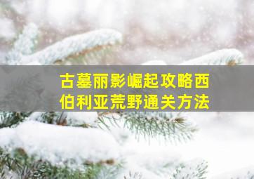 古墓丽影崛起攻略西伯利亚荒野通关方法