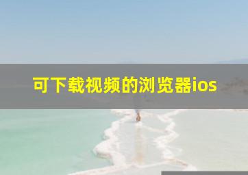 可下载视频的浏览器ios