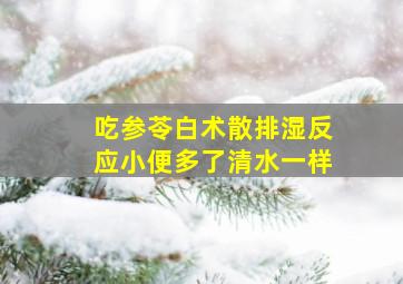 吃参苓白术散排湿反应小便多了清水一样