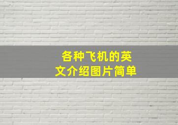 各种飞机的英文介绍图片简单