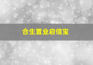 合生置业启信宝