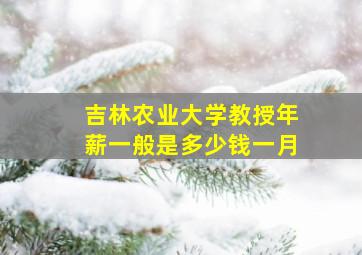 吉林农业大学教授年薪一般是多少钱一月