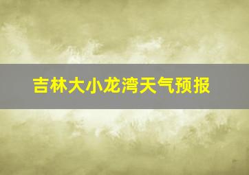 吉林大小龙湾天气预报