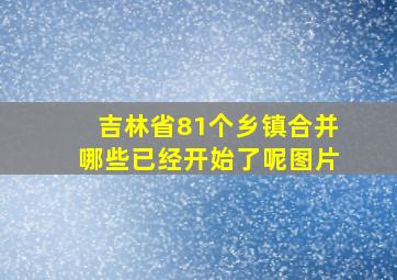 吉林省81个乡镇合并哪些已经开始了呢图片