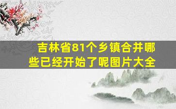 吉林省81个乡镇合并哪些已经开始了呢图片大全