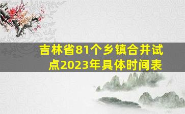 吉林省81个乡镇合并试点2023年具体时间表