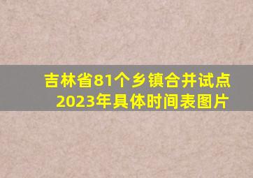 吉林省81个乡镇合并试点2023年具体时间表图片