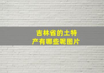 吉林省的土特产有哪些呢图片