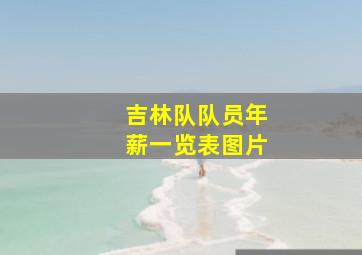 吉林队队员年薪一览表图片