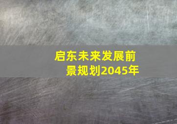 启东未来发展前景规划2045年