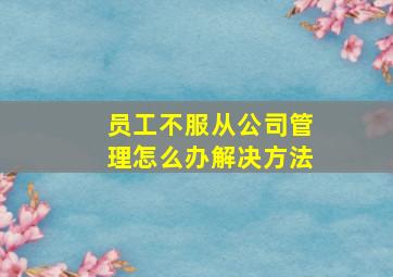 员工不服从公司管理怎么办解决方法