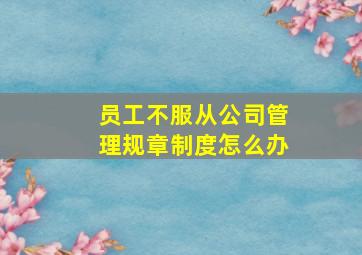 员工不服从公司管理规章制度怎么办