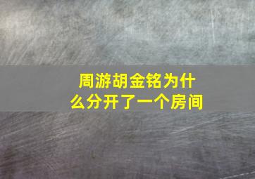 周游胡金铭为什么分开了一个房间