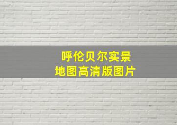 呼伦贝尔实景地图高清版图片