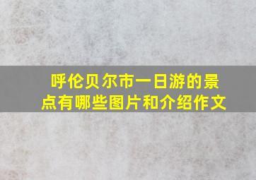 呼伦贝尔市一日游的景点有哪些图片和介绍作文