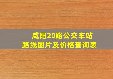 咸阳20路公交车站路线图片及价格查询表