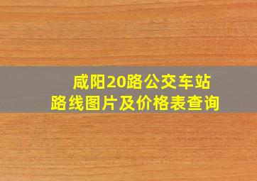 咸阳20路公交车站路线图片及价格表查询