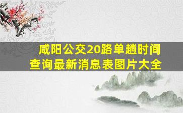 咸阳公交20路单趟时间查询最新消息表图片大全