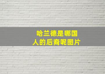 哈兰德是哪国人的后裔呢图片