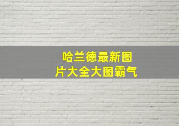 哈兰德最新图片大全大图霸气