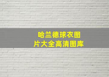 哈兰德球衣图片大全高清图库