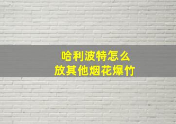 哈利波特怎么放其他烟花爆竹