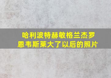 哈利波特赫敏格兰杰罗恩韦斯莱大了以后的照片