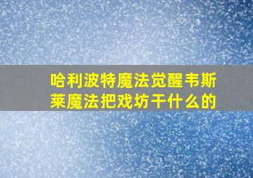 哈利波特魔法觉醒韦斯莱魔法把戏坊干什么的