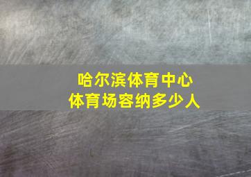 哈尔滨体育中心体育场容纳多少人