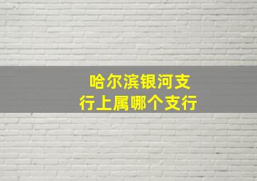 哈尔滨银河支行上属哪个支行