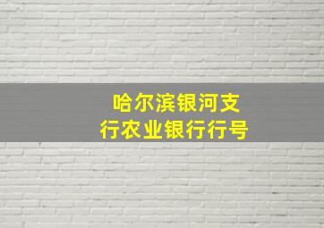 哈尔滨银河支行农业银行行号