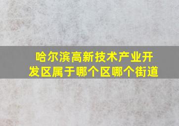 哈尔滨高新技术产业开发区属于哪个区哪个街道