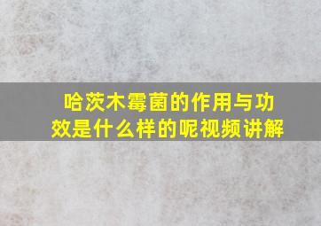 哈茨木霉菌的作用与功效是什么样的呢视频讲解