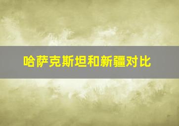 哈萨克斯坦和新疆对比