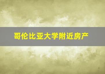 哥伦比亚大学附近房产