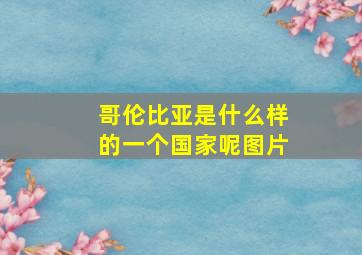 哥伦比亚是什么样的一个国家呢图片