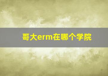 哥大erm在哪个学院