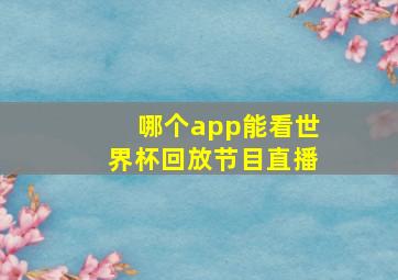 哪个app能看世界杯回放节目直播