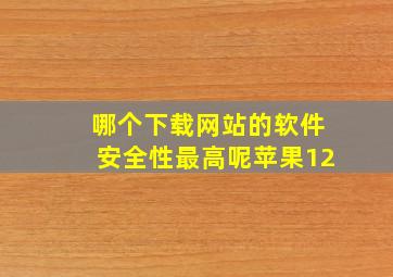 哪个下载网站的软件安全性最高呢苹果12