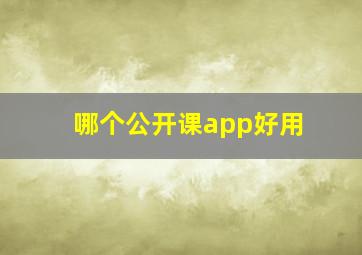 哪个公开课app好用