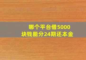 哪个平台借5000块钱能分24期还本金