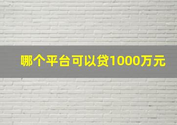 哪个平台可以贷1000万元