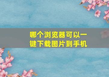 哪个浏览器可以一键下载图片到手机