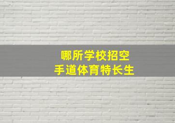 哪所学校招空手道体育特长生