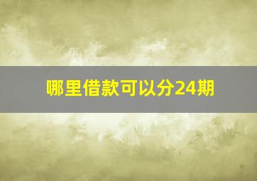 哪里借款可以分24期