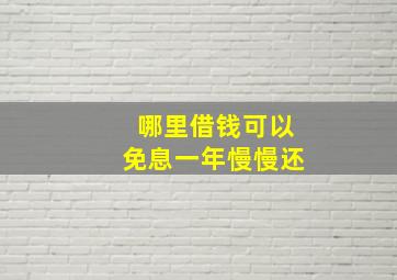 哪里借钱可以免息一年慢慢还